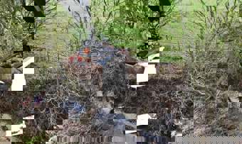 item01
