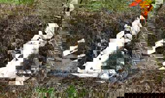 item02